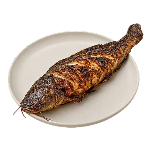 Grilled catfish